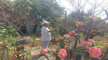 موعد الاحتفالات.. كيف يقضي الريف الفيتنامي عيد التيت؟